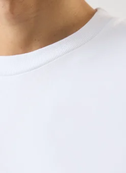 Percival White T-Shirts|Regular Fit T-Shirts^T Shirt Regular Fit White